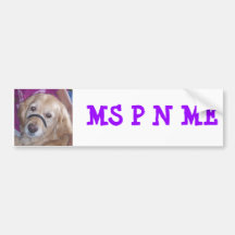 n Penny Bumper Sticker