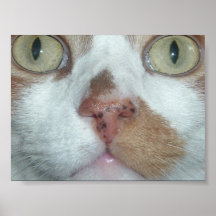 N Your Face Print
