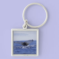 NA, Canada, Newfoundland, Trinity Bay. Humpback keychains