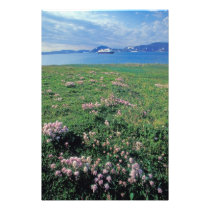 NA, USA, Alaska, Aleutian Island, Scenic with