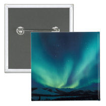 NA, USA, Alaska, Brooks Range, Curtains of green buttons
