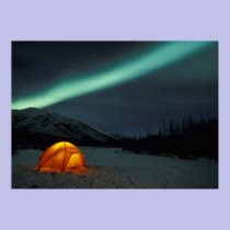 NA, USA, Alaska, Brooks Range. Curtains of green posters