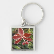 NA, USA, Alaska. Denali National Park, Wonder Keychain