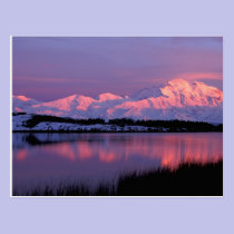 NA, USA, Alaska, Denali NP, Mt. McKinley, postcards