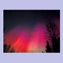 NA, USA, Alaska, Fairbanks, Curtains of pink and postcards