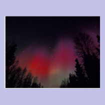 NA, USA, Alaska, Fairbanks. Curtains of purple, postcards