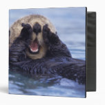 NA, USA, Alaska. Sea otters are the largest 3 Ring Binders