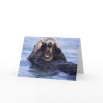 NA, USA, Alaska. Sea otters are the largest