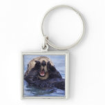 NA, USA, Alaska. Sea otters are the largest Keychain