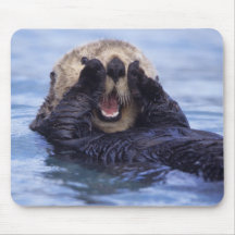 NA, USA, Alaska. Sea otters are the largest Mousepad