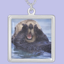 NA, USA, Alaska. Sea otters are the largest necklaces
