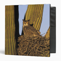 NA, USA, Arizona, Tucson. Great horned owl on Binders