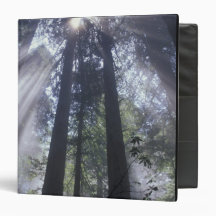 NA, USA, California. Del Norte Coast State Binder