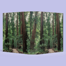 NA, USA, California, Marin County, Muir Woods binders