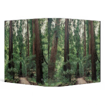 NA, USA, California, Marin County, Muir Woods Binders