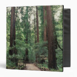 NA, USA, California, Marin County, Muir Woods Binders