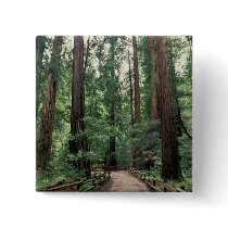 NA, USA, California, Marin County, Muir Woods Pin