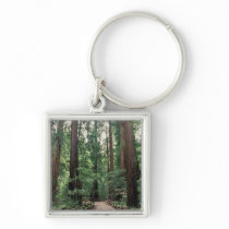 NA, USA, California, Marin County, Muir Woods Key Chain
