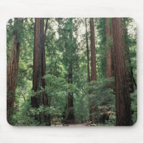 NA, USA, California, Marin County, Muir Woods Mousepad