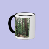 NA, USA, California, Marin County, Muir Woods mugs
