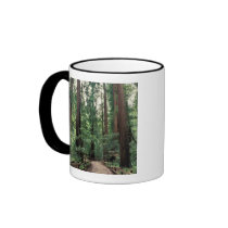 NA, USA, California, Marin County, Muir Woods Coffee Mugs