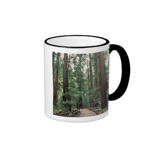 NA, USA, California, Marin County, Muir Woods Coffee Mugs