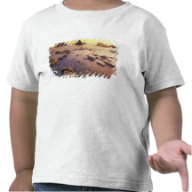 NA, USA, California, Northern California, T-shirt