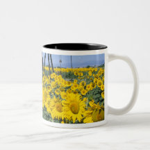 Na, USA, Colorado, Sunflowers, Oil Derrick Mug