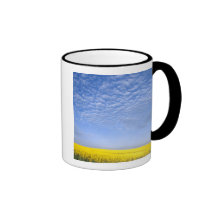 Na, USA, ID, Grangeville, Field of Canola Crop Mug