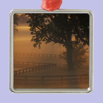 NA, USA, Kentucky. Foggy sunrise on Kentucky ornaments