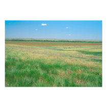 NA, USA, NE. Grasslands near Ogallala with