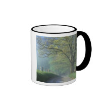 NA, USA, Tennessee, Cades Cove, Great Smoky Coffee Mugs