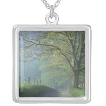 NA, USA, Tennessee, Cades Cove, Great Smoky Necklace