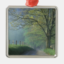 NA, USA, Tennessee, Cades Cove, Great Smoky Christmas Ornaments