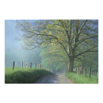 NA, USA, Tennessee, Cades Cove, Great Smoky