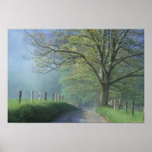 NA, USA, Tennessee, Cades Cove, Great Smoky Posters