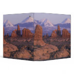 NA, USA, Utah, Arches National Park. Garden of binders