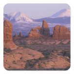 NA, USA, Utah, Arches National Park. Garden of stickers
