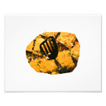 Nacho crackers and spatula pic photograph