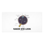 Naked Eye Look (Anatomical Attitude) Picture Card