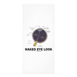 Naked Eye Look (Anatomical Attitude) Customized Rack Card