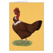 Naked-neck Hen Card