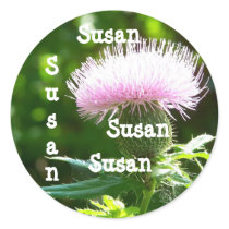 name stickers Susan