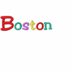 Namedrop Nation_Boston Multi-coloured Embroidered Hooded Sweatshirt