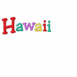 Namedrop Nation_Hawaii Multi-coloured Embroidered Hooded Sweatshirt
