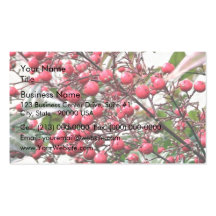 Nandina buisson avec les baies mûres rouges cartes de visite personnelles