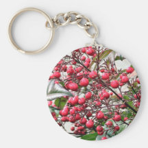Nandina bush with red ripe berries key chain