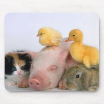 Nap Time for the Animals Mousepad
