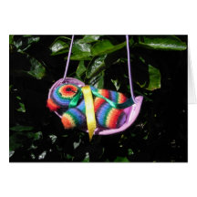 Nap Time, rainbow bear in hammock, relax & dream Greeting Card