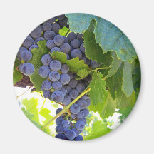 Napa Grapes Series Refrigerator Magnets